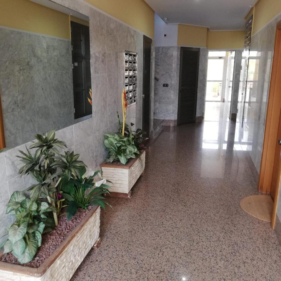 Apartamento A 50 Metros De La Playa Muchavista El Campello Exteriér fotografie